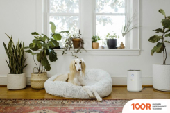 Karcher AF 20 1.024-820.0 (224725)