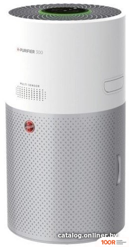 Hoover HHP30C 011 (224708)