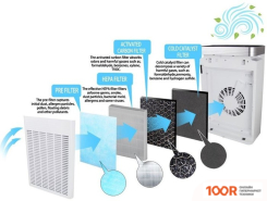 Esperanza STORM (224650)