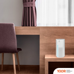 Electrolux EAP-1016 (224626)