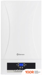 Отопительный котел Thermex HYDRA HS30 (224134)