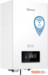 Отопительный котел Thermex GRIZZLY 5-12 WI-FI (224128)
