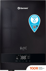 Отопительный котел Thermex BOSS 12 WI-FI (ЧЕРНЫЙ) (224109)