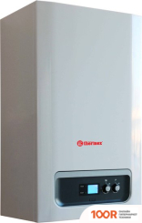 Отопительный котел Thermex BALIUS HM 30 (224107)