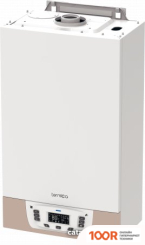 Отопительный котел Termica GRATA 24 F (224101)