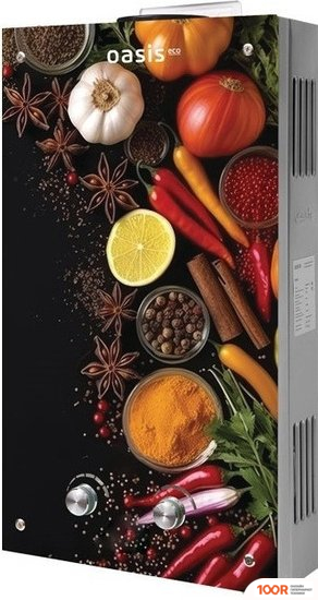Отопительный котел Oasis ECO GLASS O-24 (224075)