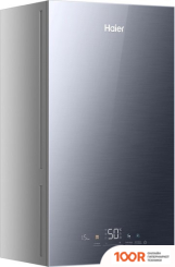 Отопительный котел Haier EVOLINE 2.24 TI (223994)