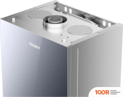 Отопительный котел Haier EVOLINE 2.24 TI (223994)