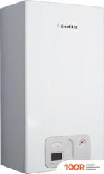 Отопительный котел Fondital ANTEA RBTFS 40 (223923)