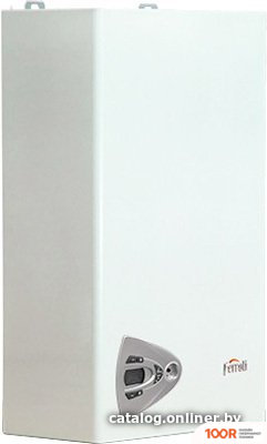 Отопительный котел Ferroli VITABEL F32 (223906)