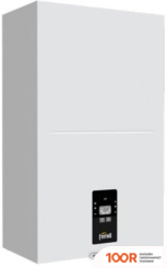 Отопительный котел Ferroli TOR 12 (223873)