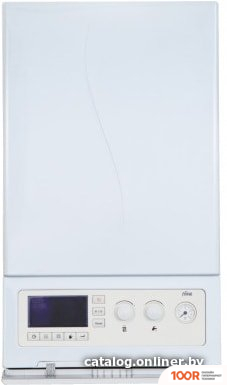 Отопительный котел Ferroli LEB 18.0 (223862)