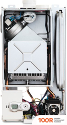 Отопительный котел Ferroli FORTUNA F 20 (223858)