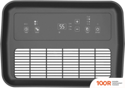 Осушитель воздуха Royal Clima PACIFIC VILLA RD-PC40-E (223519)