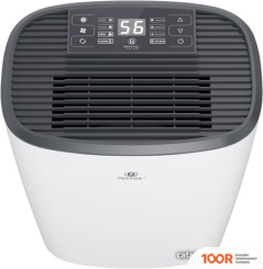 Осушитель воздуха Royal Clima CARISMA LOFT RD-CR20-E (223513)