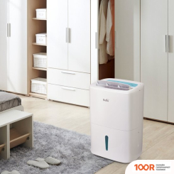 Осушитель воздуха Ballu BD20U (223355)