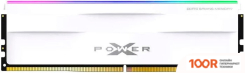Оперативная память Silicon-Power XPOWER ZENITH RGB 32ГБ DDR5 5600 МГЦ SP032GXLWU560FSH (222896)