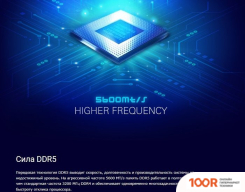 Оперативная память Silicon-Power 16ГБ DDR5 4800 МГЦ SP016GBLVU480F02 (222768)