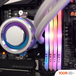 Оперативная память PNY XLR8 GAMING EPIC-X RGB 8GB DDR4 PC4-28800 MD8GD4360018XRGB (222459)