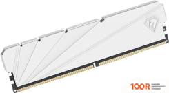 Оперативная память Netac SHADOW S 8ГБ DDR4 3200 МГЦ NTSSD4P32SP-08W (222143)