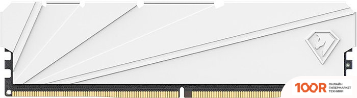 Оперативная память Netac SHADOW S 8ГБ DDR4 2666 МГЦ NTSSD4P26SP-08W (222142)