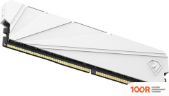 Оперативная память Netac SHADOW S 8ГБ DDR4 2666 МГЦ NTSSD4P26SP-08W (222142)