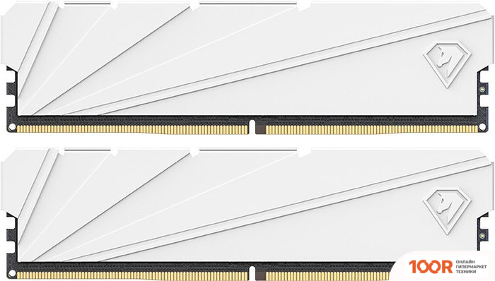 Оперативная память Netac SHADOW S 2X8ГБ DDR4 3600 МГЦ NTSSD4P36DP-16W (222141)