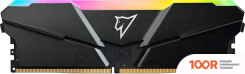 Оперативная память Netac SHADOW RGB 8ГБ DDR4 3200 МГЦ NTSRD4P32SP-08E (222136)