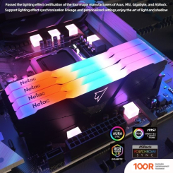 Оперативная память Netac SHADOW RGB 2X8ГБ DDR4 2666МГЦ NTSRD4P26DP-16E (222128)