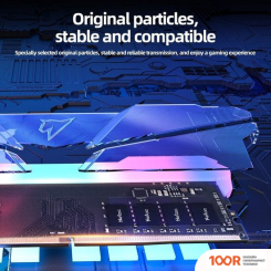 Оперативная память Netac SHADOW RGB 2X8ГБ DDR4 2666МГЦ NTSRD4P26DP-16E (222128)