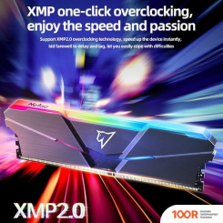 Оперативная память Netac SHADOW RGB 2X16ГБ DDR4 3200МГЦ NTSRD4P32DP-32E (222123)