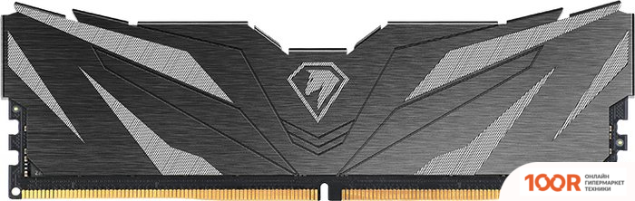 Оперативная память Netac SHADOW II 8ГБ DDR5 4800 МГЦ NTSWD5P48SP-08K (222095)