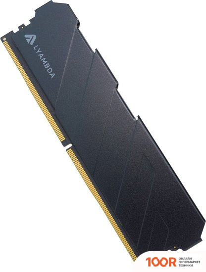 Оперативная память Lyambda GAMING 16ГБ DDR5 5600 МГЦ LRD5M56C38N1GX/16 (221927)