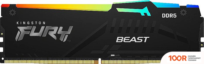 Оперативная память Kingston FURY BEAST RGB 8ГБ DDR5 6000 МГЦ KF560C40BBA-8 (221523)