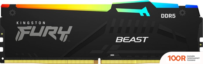 Оперативная память Kingston FURY BEAST RGB 8ГБ DDR5 6000 МГЦ KF560C30BBA-8 (221521)