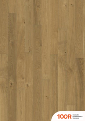 Оперативная память Kingston FURY BEAST RGB 16GB DDR4 PC4-21300 KF426C16BBA/16 (221315)