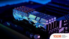 Оперативная память G.Skill TRIDENT Z ROYAL ELITE 2X16GB PC4-28800 F4-3600C16D-32GTESC (219972)