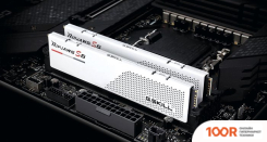 Оперативная память G.Skill RIPJAWS S5 2X32ГБ DDR5 5600 МГЦ F5-5600J4645A32GX2-RS5W (219830)