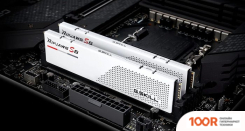 Оперативная память G.Skill RIPJAWS S5 2X16ГБ DDR5 6000 МГЦ F5-6000J3644F16GX2-RS5W (219805)