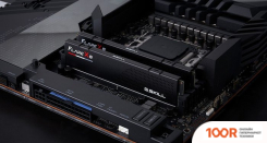 Оперативная память G.Skill FLARE X5 2X16ГБ DDR5 6000 МГЦ F5-6000J3636F16GX2-FX5 (219682)