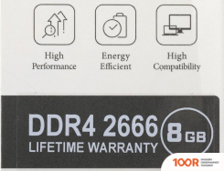 Оперативная память AGI UD138 8ГБ DDR4 2666 МГЦ AGI266608UD138 (218706)