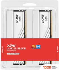 Оперативная память ADATA XPG LANCER BLADE 2X32ГБ DDR5 6000 МГЦ AX5U6000C3032G-DTLABWH (218400)