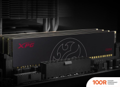 Оперативная память ADATA XPG HUNTER 8GB DDR4 PC4-21300 AX4U266638G16-SBHT (218349)