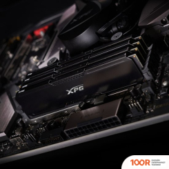 Оперативная память ADATA XPG GAMMIX D20 16GB DDR4 PC4-28800 AX4U3600316G18A-CBK20 (218266)