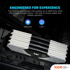 Оперативная память Acer PREDATOR TALOS 2X8ГБ DDR4 3000 МГЦ BL.9BWWR.211 (218062)