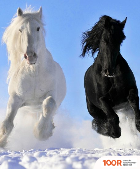 БРТЗ ДЫХАНИЕ ТЕПЛА ПЕГАС ЭОБН-0.4-220-УХЛ4 (217778)