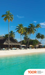 БРТЗ ДЫХАНИЕ ТЕПЛА МАЛЬДИВЫ (217775)