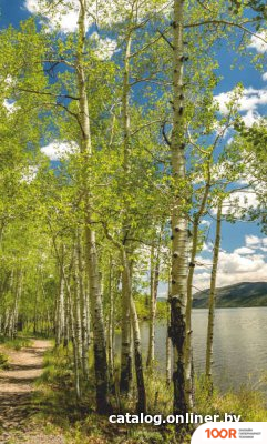 БРТЗ ДЫХАНИЕ ТЕПЛА БЕРЕЗОВЫЙ БЕРЕГ (217768)