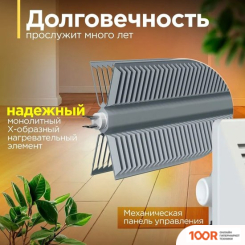 Zeder 5MX-01 (217708)