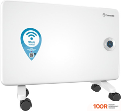 Thermex FRAME 1000E WI-FI (217555)